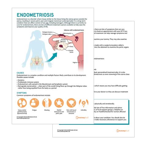 endometriosis patient education pdf